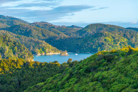 Aerial view of Torrent bay at Abel Tasman national park in New Zealandの写真素材