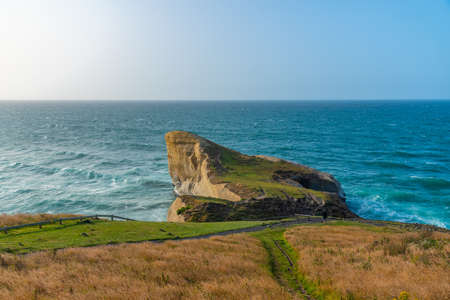 Landscape of Tunnel beach near Dunedin, New Zealand