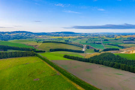 Green pastures in New Zealand during sunriseの写真素材