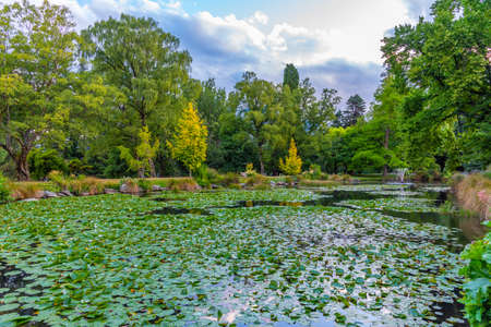 Queenstown gardens park in New Zealandの写真素材