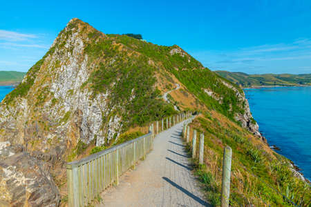 Nugget point in New Zealandの写真素材