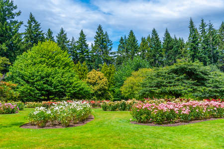 Queenstown gardens park in New Zealandの写真素材