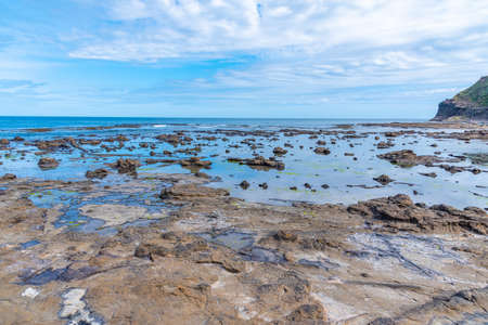 Petrified forest at Curio Bay in New Zealandの写真素材