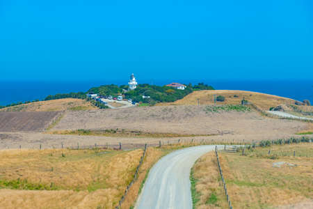 Landscape of Katiki point in New Zealandの写真素材