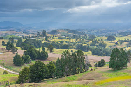 Landscape of Northland region in New Zealandの写真素材