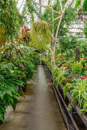 Conservatory of Christchurch Botanic garden in New Zealand