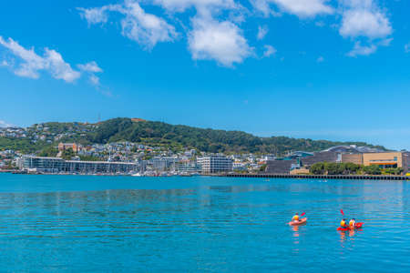Te Papa museum and Marina in Wellington, New Zealandのeditorial素材