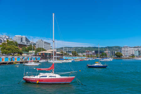 WELLINGTON, NEW ZEALAND, FEBRUARY 8, 2020: Marina in Wellington, New Zealandの写真素材