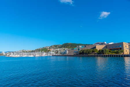Te Papa museum and Marina in Wellington, New Zealandのeditorial素材