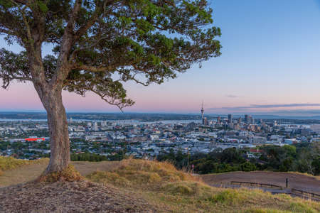 Sunrise view of Auckland from Mount Eden, New Zealandのeditorial素材