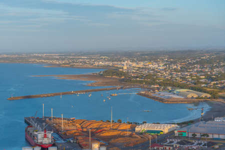 Wooden logs ready for export at New Plymouth, New Zealandのeditorial素材