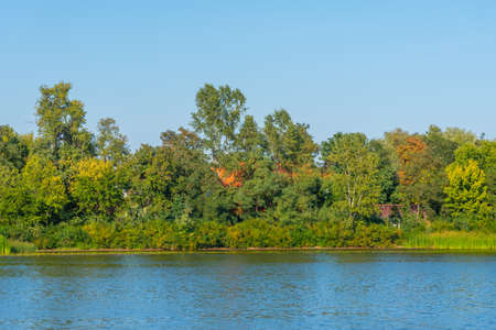 Forest at Trukhaniv island in Kiev, Ukraine