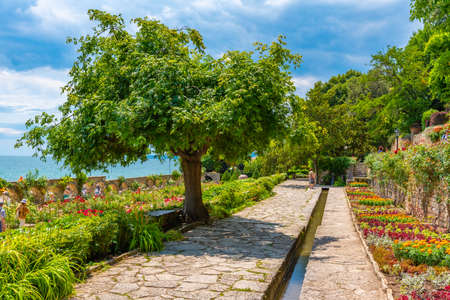 Rose garden at botanical garden of Balchik palace in Bulgariaの写真素材