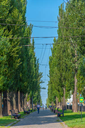 Green alley at boulevard of Taras Shevchenko in Kyiv, Ukraineの写真素材