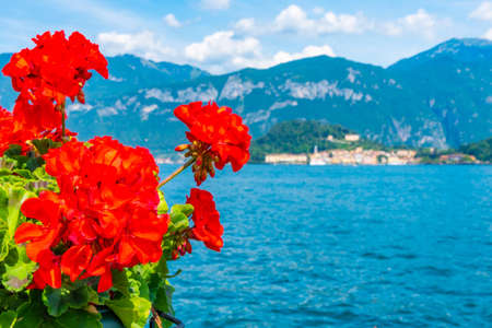 Bellagio viewed from Tremezzo, Italyの写真素材