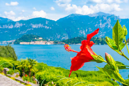 Bellagio viewed from Botanical garden at Villa Carlotta at Tremezzo, Italy