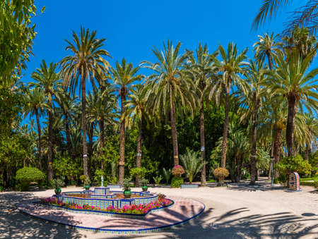 View of El Palmeral municipal park in Elche, Spainの写真素材