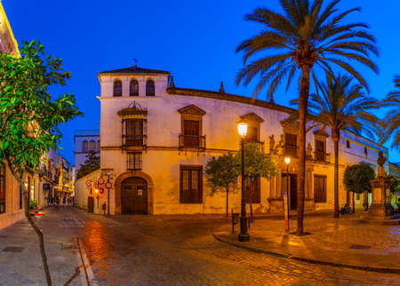 View of a street at Jerez de la Frontera in Spain during nightの写真素材