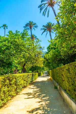 Gardens of Real Alcazar de Sevilla in Spainの写真素材