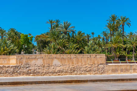 View of El Palmeral municipal park in Elche, Spain