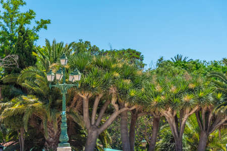 Royal gardens in Spanish city Valenciaの写真素材