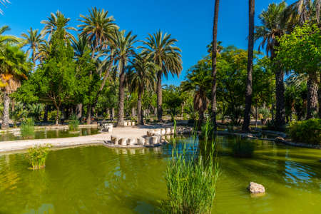Palms reflecting on a pond in Parc dels peixos in Elche, Spainの写真素材