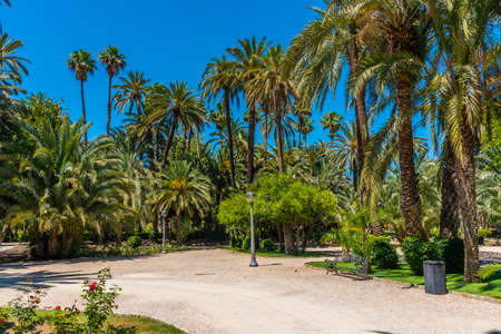 View of El Palmeral municipal park in Elche, Spain