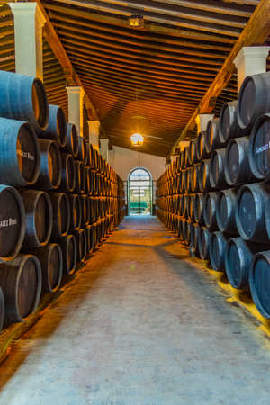 JEREZ DE LA FRONTERA, SPAIN, JUNE 26, 2019: Wine barrels inside of Bodega of Tio Pepe at Jerez de la Frontera in Spainのeditorial素材
