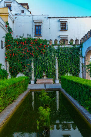 SEVILLA, SPAIN, JUNE 25, 2019: Patio de los Levies at real alcazar de Sevilla in Spain