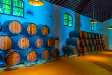 JEREZ DE LA FRONTERA, SPAIN, JUNE 26, 2019: Wine barrels inside of Bodega of Tio Pepe at Jerez de la Frontera in Spainのeditorial素材