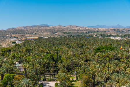 Aerial view of El Palmeral municipal park in Elche, Spainのeditorial素材