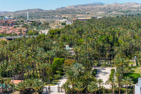 Aerial view of El Palmeral municipal park in Elche, Spainのeditorial素材