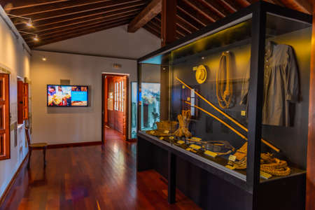 ELCHE, SPAIN, JUNE 18, 2019: Interior of Palm museum in Elche, Spainのeditorial素材