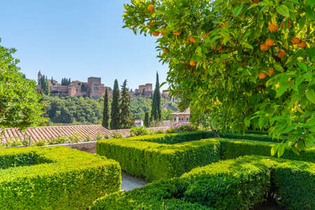 Garden at Casa del Chapiz in Granada, Spain