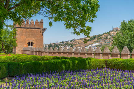 Park inside of Alhambra palace in Granada, Spainのeditorial素材