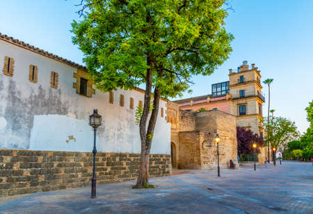 Sunset view of Alcazar castle at Jerez de la Frontera in Spainのeditorial素材