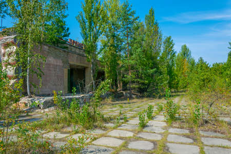 Detail of a cinema in the Ukrainian town Pripyat which became desolated after the Chernobyl disasterのeditorial素材