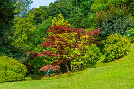 Botanical garden at Villa Melzi at Bellagio, Italyのeditorial素材