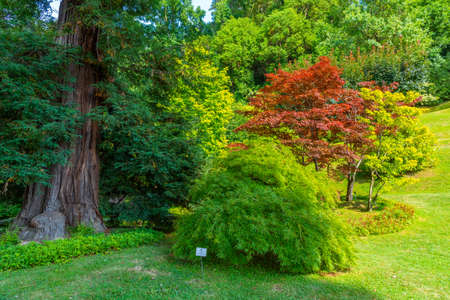 Botanical garden at Villa Melzi at Bellagio, Italyのeditorial素材