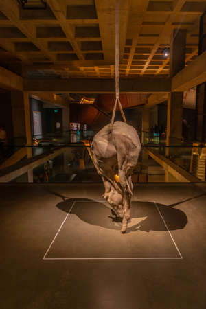 HOBART, AUSTRALIA, FEBRUARY 22, 2020: Art installations at MONA â Museum of old an new Art in Hobart, Australiaのeditorial素材