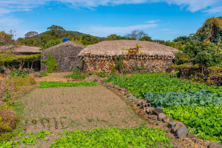 Traditional houses at Seongeup folk village at Jeju island, Republic of Koreaのeditorial素材
