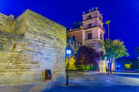 Night view of Alcazar castle at Jerez de la Frontera in Spainのeditorial素材