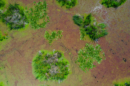 Lake in the Arkutino reserve in Bulgariaの写真素材