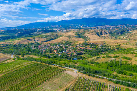 Vineyard spreading over region near Melnik in Bulgariaの写真素材