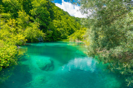 Summer sky reflected on water at Plitvice lakes national park in Croatiaの写真素材
