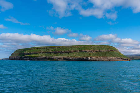 Puffin island near Husavik, Iceland