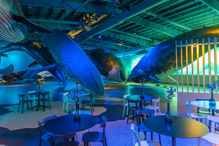 Reykjavik, Iceland, August 31, 2020: Exhibits at the Whales of Iceland museum in Reykjavik, Icelandのeditorial素材