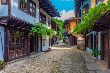 Etar, Bulgaria, June 24, 2020: Traditional bulgarian architecture displayed at Etar ethnographic complexのeditorial素材
