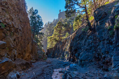 Barranco de Las Angustias at caldera de Taburiente at La Palma, Canary islands, Spain.の写真素材