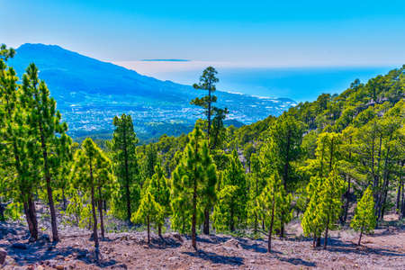 Aerial view of La Palma from hiking trail to Pico Bejenado, Canary islands, Spain.の写真素材